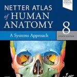 خرید و دانلود نسخه کامل کتاب Netter Atlas of Human Anatomy: A Systems Approach – E-Book (Netter Basic Science)