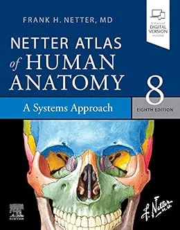 خرید و دانلود نسخه کامل کتاب Netter Atlas of Human Anatomy: A Systems Approach – E-Book (Netter Basic Science)_6a777a8f38502.jpeg خرید و دانلود نسخه کامل کتاب Netter Atlas of Human Anatomy: A Systems Approach – E-Book (Netter Basic Science)