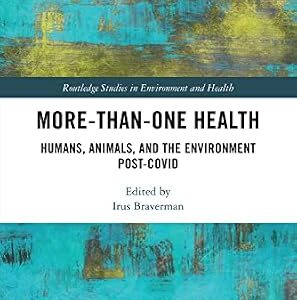 خرید و دانلود نسخه کامل کتاب More-than-One Health: Humans, Animals, and the Environment Post-COVID (Routledge Studies in Environment and Health)