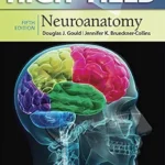 خرید و دانلود نسخه کامل کتاب High-Yield™ Neuroanatomy (High-Yield Series)