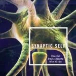 خرید و دانلود نسخه کامل کتاب Synaptic Self: How Our Brains Become Who We Are