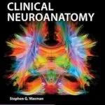 خرید و دانلود نسخه کامل کتاب Clinical Neuroanatomy, 28th Edition