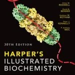 خرید و دانلود نسخه کامل کتاب Harpers Illustrated Biochemistry 30th Edition (Harper’s Illustrated Biochemistry) 30th Edition