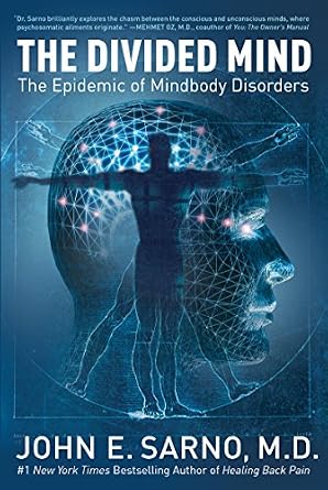 خرید و دانلود نسخه کامل کتاب The Divided Mind: The Epidemic of Mindbody Disorders_6a761e922195d.jpeg خرید و دانلود نسخه کامل کتاب The Divided Mind: The Epidemic of Mindbody Disorders