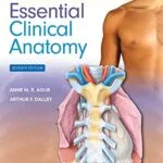 خرید و دانلود نسخه کامل کتاب Moore’s Essential Clinical Anatomy 7th Edition