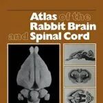 خرید و دانلود نسخه کامل کتاب Atlas of the Rabbit Brain and Spinal Cord