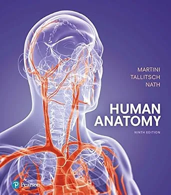 خرید و دانلود نسخه کامل کتاب Human Anatomy_6a7784afb5df5.jpeg خرید و دانلود نسخه کامل کتاب Human Anatomy