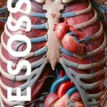 خرید و دانلود نسخه کامل کتاب زبان اصلی ATLAS DE ANATOMIA HUMANA DE SOSSA (Odontologia para iniciantes) (Portuguese Edition) PDF | دانلود کتاب خارجی