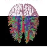 خرید و دانلود نسخه کامل کتاب Networks of the Brain