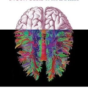 خرید و دانلود نسخه کامل کتاب Networks of the Brain