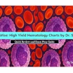 خرید و دانلود نسخه کامل کتاب زبان اصلی HemeWise: High Yield Hematology Charts by Dr. Sahrish: Comprehensive Hematology Master Charts PDF | دانلود کتاب خارجی