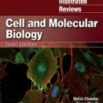 خرید و دانلود نسخه کامل کتاب Lippincott Illustrated Reviews: Cell and Molecular Biology (Lippincott Illustrated Reviews Series) 3rd Edition