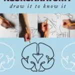 خرید و دانلود نسخه کامل کتاب Neuroanatomy: Draw It to Know It 1 Csmst Edition