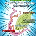 خرید و دانلود نسخه کامل کتاب Trematodes: parasitology medical comic book: Fun way to learn parasites