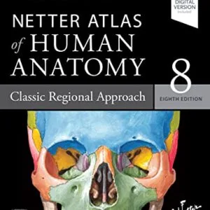 خرید و دانلود نسخه کامل کتاب Netter Atlas of Human Anatomy: Classic Regional Approach – Ebook (Netter Basic Science) 8th Edition