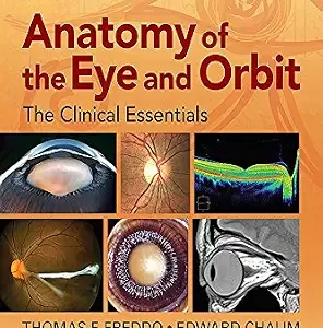 خرید و دانلود نسخه کامل کتاب Anatomy of the Eye and Orbit: The Clinical Essentials