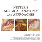 خرید و دانلود نسخه کامل کتاب Netter’s Surgical Anatomy and Approaches (Netter Clinical Science)