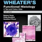 خرید و دانلود نسخه کامل کتاب Wheater’s Functional Histology – Inkling Enhanced E-Book: Wheater’s Functional Histology E-Book (FUNCTIONAL HISTOLOGY (WHEATER’S))