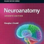 خرید و دانلود نسخه کامل کتاب BRS Neuroanatomy