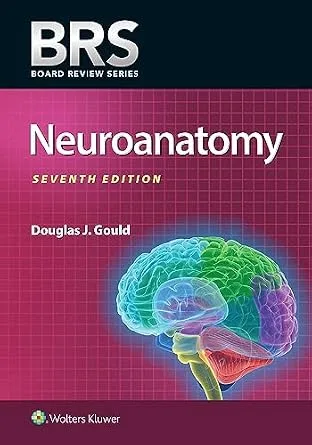 خرید و دانلود نسخه کامل کتاب BRS Neuroanatomy_6a786437cf68d.jpeg خرید و دانلود نسخه کامل کتاب BRS Neuroanatomy