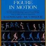 خرید و دانلود نسخه کامل کتاب The Human Figure in Motion