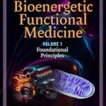 خرید و دانلود نسخه کامل کتاب Bioenergetic Functional Medicine: Volume 1: Foundational Principles
