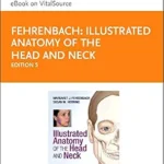 خرید و دانلود نسخه کامل کتاب Illustrated Anatomy of the Head and Neck – E-Book