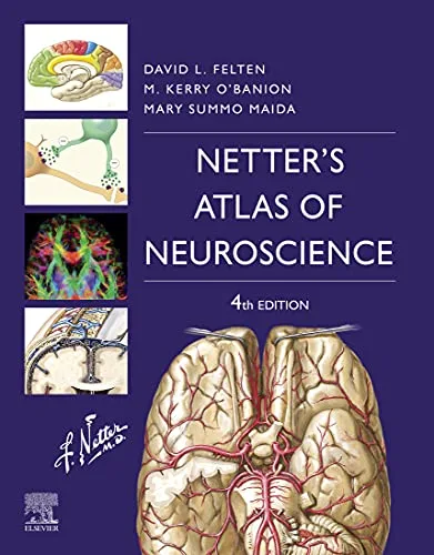 خرید و دانلود نسخه کامل کتاب Netter’s Atlas of Neuroscience E-Book (Netter Basic Science) 4th Edition_6a784165614b3.jpeg خرید و دانلود نسخه کامل کتاب Netter’s Atlas of Neuroscience E-Book (Netter Basic Science) 4th Edition