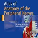 خرید و دانلود نسخه کامل کتاب Atlas of Anatomy of the Peripheral Nerves: The Nerves of the Limbs – Student Edition