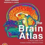 خرید و دانلود نسخه کامل کتاب The Brain Atlas: A Visual Guide to the Human Central Nervous System