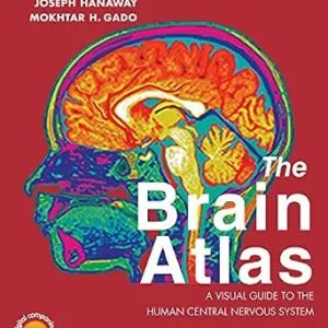 خرید و دانلود نسخه کامل کتاب The Brain Atlas: A Visual Guide to the Human Central Nervous System