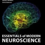 خرید و دانلود نسخه کامل کتاب Essentials of Modern Neuroscience 1st Edition