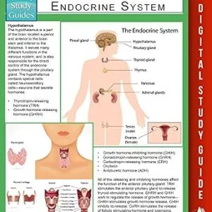 خرید و دانلود نسخه کامل کتاب Endocrine System (Speedy Study Guides)