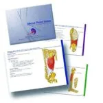 خرید و دانلود نسخه کامل کتاب Motor Point Index – An Acupuncturist’s Guide to Locating and Treating Motor Ponts