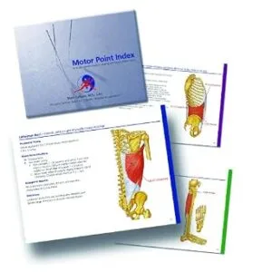 خرید و دانلود نسخه کامل کتاب Motor Point Index – An Acupuncturist’s Guide to Locating and Treating Motor Ponts
