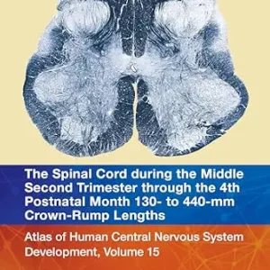 خرید و دانلود نسخه کامل کتاب زبان اصلی The Spinal Cord during the Middle Second Trimester through the 4th Postnatal Month 130- to 440-mm Crown-Rump Lengths: Atlas of Human Central Nervous System Development, Volume 15 PDF | دانلود کتاب خارجی