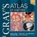 خرید و دانلود نسخه کامل کتاب Gray’s Atlas of Anatomy E-Book (Gray’s Anatomy) 3rd Edition