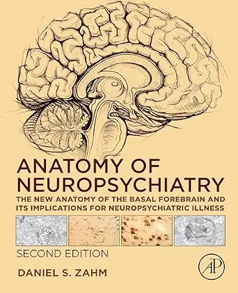 خرید و دانلود نسخه کامل کتاب Anatomy of Neuropsychiatry: The New Anatomy of the Basal Forebrain and Its Implications for Neuropsychiatric Illness_6a7b3555c0deb.webp خرید و دانلود نسخه کامل کتاب Anatomy of Neuropsychiatry: The New Anatomy of the Basal Forebrain and Its Implications for Neuropsychiatric Illness