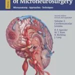 خرید و دانلود نسخه کامل کتاب زبان اصلی Color Atlas of Microneurosurgery: Volume 2 – Cerebrovascular Lesions: Microanatomy – Approaches – Techniques PDF | دانلود کتاب خارجی