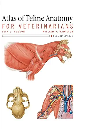 خرید و دانلود نسخه کامل کتاب Atlas of Feline Anatomy For Veterinarians_6a6d9aff56ef5.webp خرید و دانلود نسخه کامل کتاب Atlas of Feline Anatomy For Veterinarians