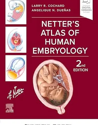 خرید و دانلود نسخه کامل کتاب Netter’s Atlas of Human Embryology – E-BOOK (Netter Basic Science)_6a78357570af9.jpeg خرید و دانلود نسخه کامل کتاب Netter’s Atlas of Human Embryology – E-BOOK (Netter Basic Science)