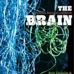 خرید و دانلود نسخه کامل کتاب The Brain: Big Bangs, Behaviors, and Beliefs Kindle Edition