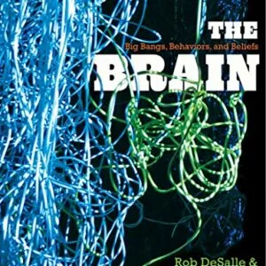 خرید و دانلود نسخه کامل کتاب The Brain: Big Bangs, Behaviors, and Beliefs Kindle Edition