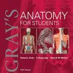 خرید و دانلود نسخه کامل کتاب Gray’s Anatomy for Students E-Book 5th Edition