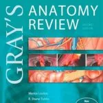 خرید و دانلود نسخه کامل کتاب Gray’s Anatomy Review: Gray’s Anatomy Review E-Book