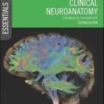 خرید و دانلود نسخه کامل کتاب Essential Clinical Neuroanatomy (Essentials)