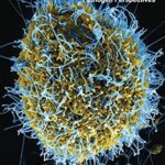 خرید و دانلود نسخه کامل کتاب Biological Warfare: Pathogen Perspectives