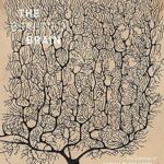 خرید و دانلود نسخه کامل کتاب The Beautiful Brain: The Drawings of Santiago Ramon y Cajal
