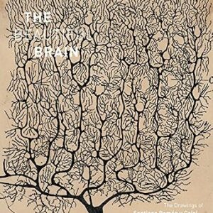 خرید و دانلود نسخه کامل کتاب The Beautiful Brain: The Drawings of Santiago Ramon y Cajal