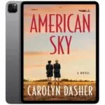 خرید و دانلود نسخه کامل کتاب انگلیسی American Sky 2025